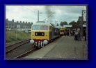 Witham 1979