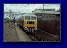 Witham 1979