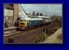 Witham 1979