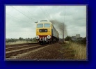 Witham 1979