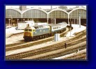 Hull