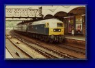 Ipswich