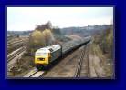 Petts Wood